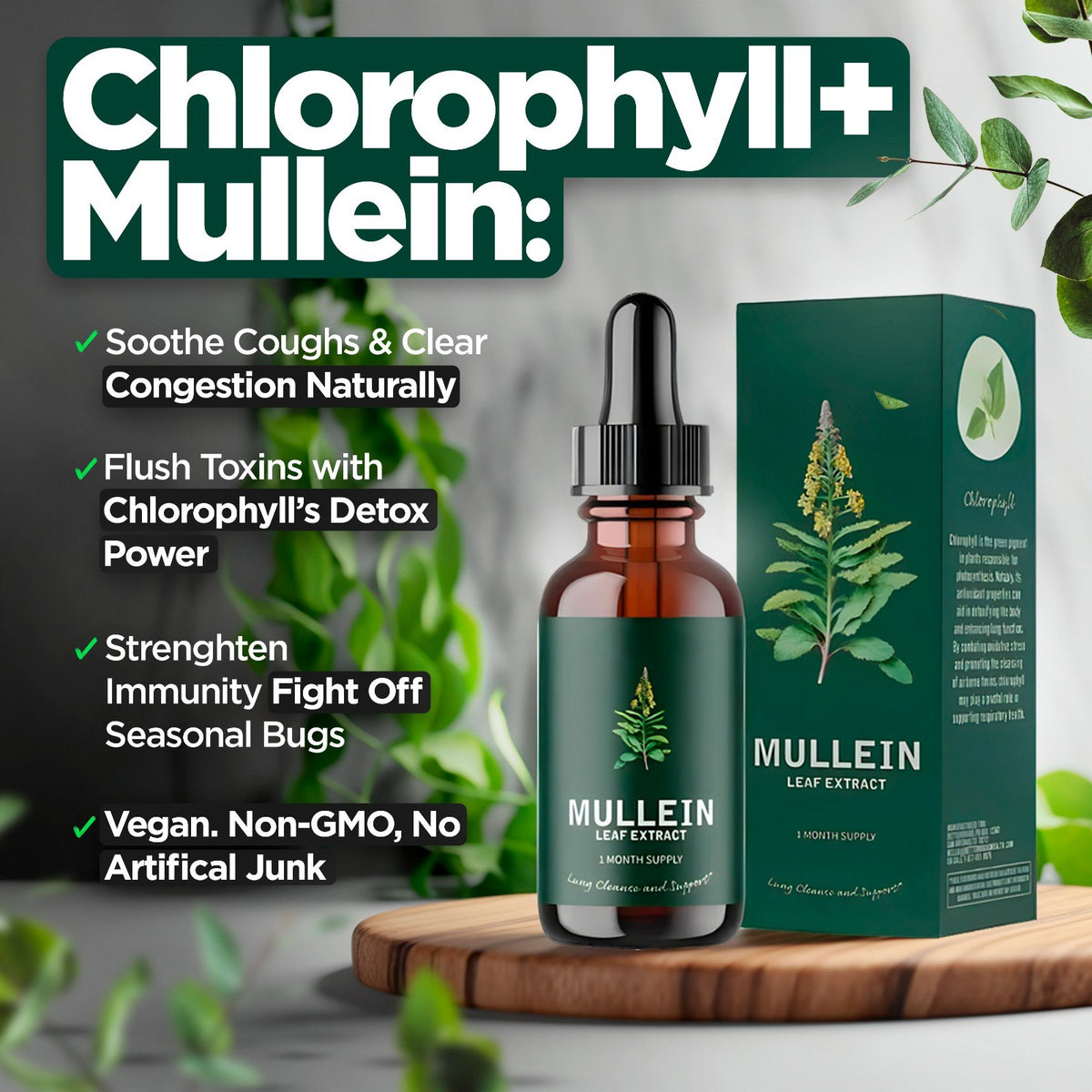 Mullein & Chlorophyll Extract
