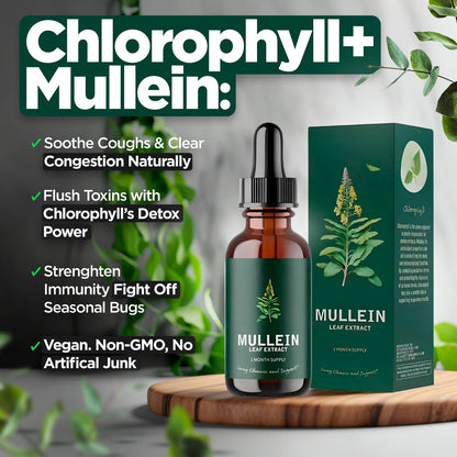 Mullein & Chlorophyll Extract