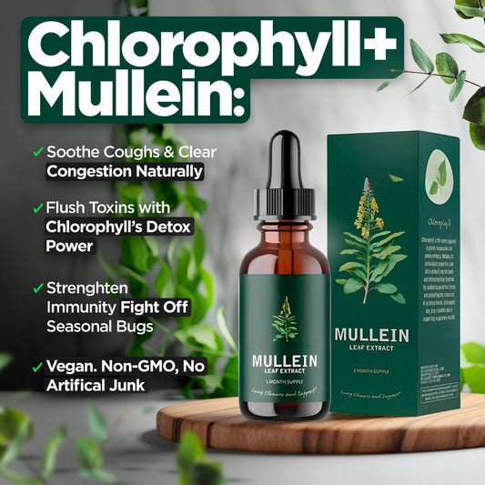 Mullein & Chlorophyll Extract